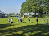 Mini Toernooitje op Sportpark Het Springer met S.K.N.W.K. JO7 en De Jonge Spartaan JO7 (60/174)